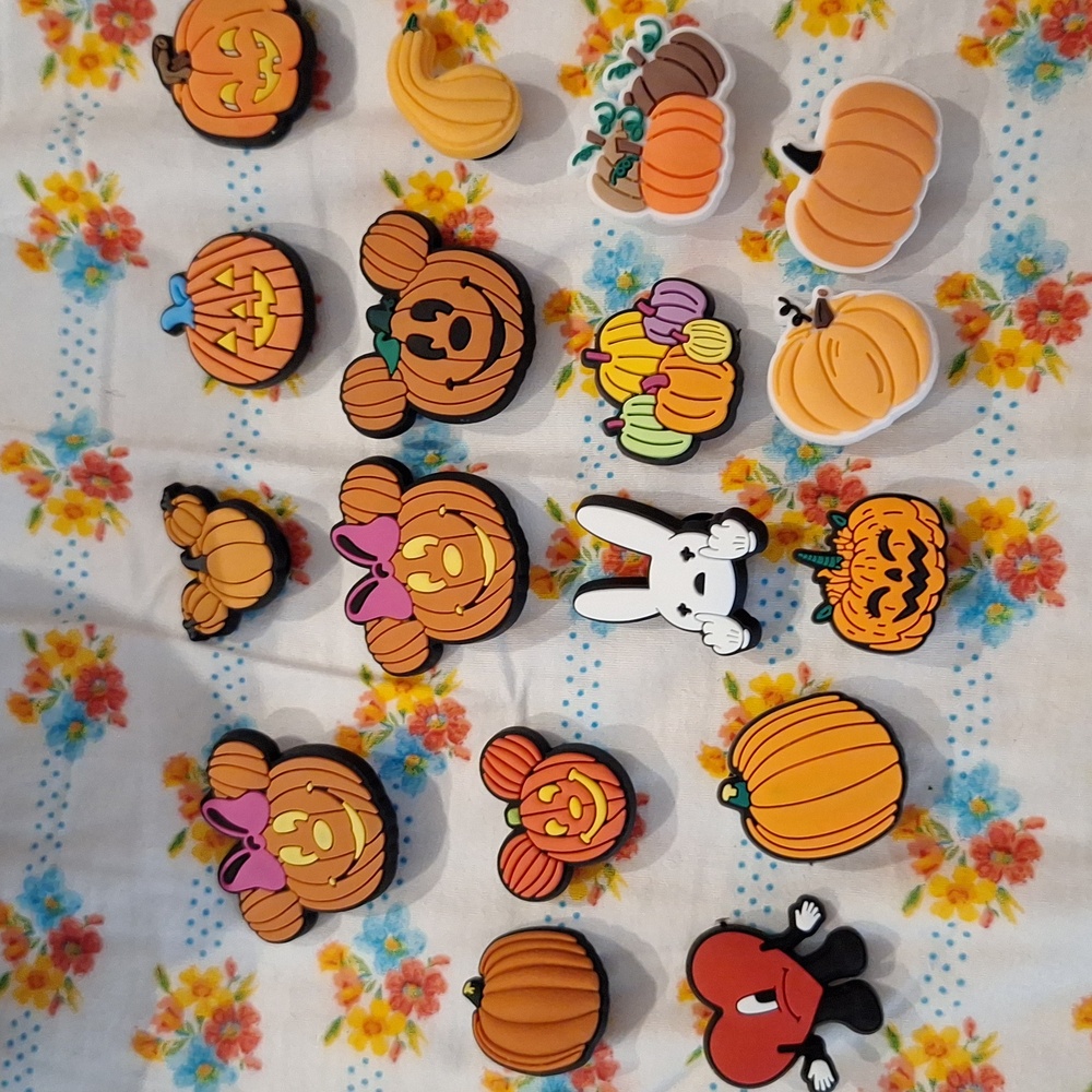 🍊NWOT 17 Fall croc shoe charms